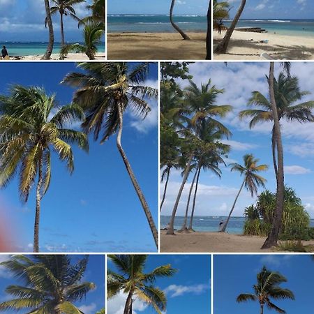 L'Ecrin Vert Sainte-Anne (Grande-Terre) Exterior foto