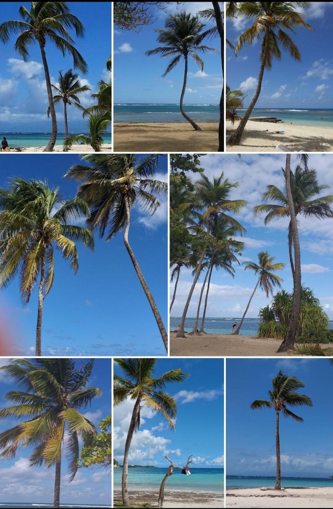 L'Ecrin Vert Sainte-Anne (Grande-Terre) Exterior foto
